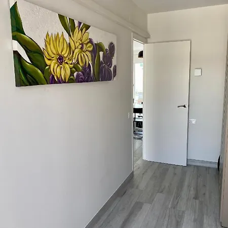 Apartment Amazing 2 Bedroom With Big Sun Terrace Centre
